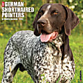 2026 Willow Creek Press Animals Monthly Wall Calendar, 12" x 12", German Shorthaired Pointers, January To December, 51245 1 thumbnail image
