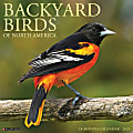 2025 Willow Creek Press Animals Wall Calendar, 12" x 12", Backyard Birds, January To December, 41550 1 thumbnail image