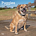 2024 BrownTrout Monthly Square Wall Calendar, 12" x 12", Puggles, January to December