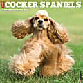 2026 Willow Creek Press Animals Monthly Wall Calendar, 12" x 12", Cocker Spaniels, January To December, 50781 1 thumbnail image