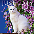 2024 Willow Creek Press Animals Monthly Wall Calendar, 12" x 12", Just Cats, January To December