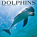 2024 Willow Creek Press Animals Monthly Wall Calendar, 12" x 12", Dolphins, January To December