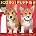 2025 Willow Creek Press Animals Monthly Wall Calendar, 12” x 12”, Corgi Puppies, January To December, 42540 1 thumbnail image