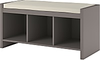 Ameriwood™ Home Penelope Entryway Storage Bench With Cushion, 17-15/16"H x 35-15/16"W x 15-15/16"D, Taupe 1 thumbnail image