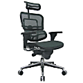 Raynor® Ergohuman High-Back Ergonomic Mesh Chair, Grey/Chrome