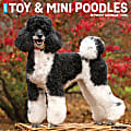 2026 Willow Creek Press Animals Monthly Wall Calendar, 12" x 12", Toy & Miniature Poodles, January To December, 55588 1 thumbnail image