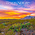 2025 BrownTrout Texas Nature Monthly Plastic-Free Square Wall Calendar, 12" x 12", American States, January to December 2025, 9781975475772 1 thumbnail image