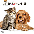 Brown Trout Animals Monthly Wall Calendar, 12" x 12", Kittens & Puppies, January To December 2023 1 thumbnail image