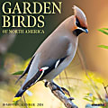 2024 Willow Creek Press Animals Monthly Wall Calendar, 12" x 12", Garden Birds, January To December