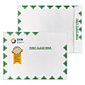 Zip Stick®,  White With Green First Class Border DuPont™ Tyvek® Open End Catalog Mailing Envelopes, Full-Color, Custom 10" x 13", Box Of 500