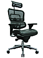 Raynor® Eurotech Ergohuman Ergonomic Bonded Leather/Mesh High-Back Chair, Black/Chrome