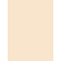 Pacon® Tag Board, 9" x 12", 105 Lb, Manila, Pack Of 100 1 thumbnail image