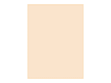 Pacon® Tag Board, 9" x 12", 105 Lb, Manila, Pack Of 100 1 thumbnail image