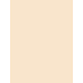Pacon® Tag Board, 18" x 24", 105 Lb, Manila, Pack Of 100 1 thumbnail image