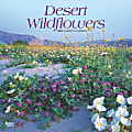 2025 BrownTrout Desert Wildflowers Monthly Plastic-Free Square Wall Calendar, 12" x 12", America Regional, January to December 2025, 9781975476014 1 thumbnail image
