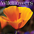 2024 Willow Creek Press Scenic Monthly Wall Calendar, 12" x 12", Wildflowers, January To December