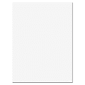 Riverside® Groundwood Construction Paper, 100% Recycled, 18" x 24", Bright White, Pack Of 50