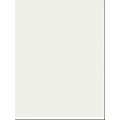 SunWorks Construction Paper - 24" x 18" - 50 / Pack - White