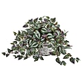 Nearly Natural Wandering Jew 15”H Artificial Plant With Vintage Hanging Planter, 15”H x 13”W x 15”D, Green/Gray