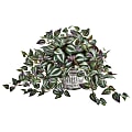 Nearly Natural Wandering Jew 15”H Artificial Plant With Vintage Hanging Planter, 15”H x 13”W x 15”D, Green/Gray 1 thumbnail image