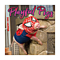 TF Publishing Humor Mini Wall Calendar, 7" x 7", Playful Pigs, January To December 2022 1 thumbnail image