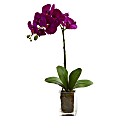 Nearly Natural Orchid Phalaenopsis 24”H Artificial Floral Arrangement With Vase, 24”H x 3-1/2”W x 3-1/2”D, Mauve