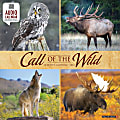 2024 Willow Creek Press Animals Monthly Wall Calendar, 12" x 12", Call Of The Wild, January To December