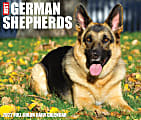 Willow Creek Press Page-A-Day Daily Desk Calendar, 5-1/2" x 6-1/4", German Shepards, January To December 2022 1 thumbnail image