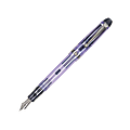 Pilot® Custom 74 Fountain Pen, 14K Gold Fine Nib Point, Violet Barrel, Black Ink