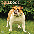Brown Trout Animals Monthly Wall Calendar, 12" x 12", Bulldogs, January To December 2023 1 thumbnail image