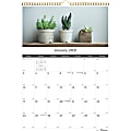 Rediform Succulent Plants Wall Calendar - Monthly - 1 Year - January 2021 till December 2021 - 1 Month Single Page Layout - Twin Wire - Multi - Chipboard - 17" Height x 12" Width