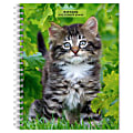 2025 BrownTrout Kittens Weekly Spiral-Bound Wire-O Engagement Planner Calendar, 6" x 7 3/4", Cats, September 2024 to December 2025, 9781975473136 1 thumbnail image