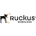 Ruckus Access Point Management - License - 1 access point 1 thumbnail image