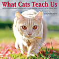 2025 Willow Creek Press Animals Monthly Wall Calendar, 12” x 12”, What Cats Teach Us, January To December, 45343 1 thumbnail image