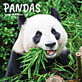 2026 Willow Creek Press Animals Monthly Wall Calendar, 12" x 12", Pandas, January To December, 56042 1 thumbnail image