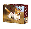 2024 Willow Creek Press Page-A-Day Daily Desk Calendar, 5" x 6", Dogs and Puppies, January To December