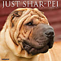 Willow Creek Press Animals Monthly Wall Calendar, 12" x 12", Just Shar-Pei, January to December 2022, 19559 1 thumbnail image