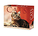 2024 Willow Creek Press Page-A-Day Daily Desk Calendar, 5" x 6", Cats and Kittens, January To December