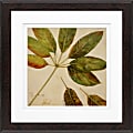 Timeless Frames Supreme Espresso-Framed Artwork, 8" x 8", Organic I