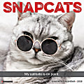 2025 Willow Creek Press Animals Monthly Wall Calendar, 12” x 12”, Snapcats, January To December, 44964 1 thumbnail image