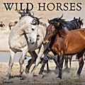 2026 Willow Creek Press Animals Monthly Wall Calendar, 12" x 12", Wild Horses, January To December, 53287 1 thumbnail image