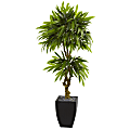 Nearly Natural 5-1/2'H Polyester Artificial Mango Tree With Planter, Black Wash/Green 1 thumbnail image
