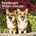 2024 BrownTrout Monthly Square Wall Calendar, 12" x 12", Pembroke Welsh Corgis, January to December