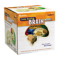Learning Resources Human Brain Cross Section Model, 5"