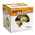 Learning Resources Human Brain Cross Section Model, 5" 1 thumbnail image