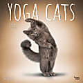 2024 BrownTrout Monthly Square Wall Calendar, 12" x 12", Yoga Cats, January to December