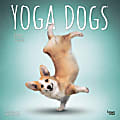 2024 BrownTrout Monthly Square Wall Calendar, 12" x 12", Yoga Dogs, January to December