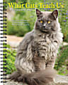 2026 Willow Creek Press Weekly Engagement Calendar, 6-1/2" x 8-1/2", What Cats Teach Us, January To December, 54666 1 thumbnail image