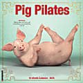 2026 Willow Creek Press Animals Monthly Wall Calendar, 12" x 12", Pig Pilates, January To December, 52389 1 thumbnail image