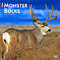 2024 BrownTrout Monthly Square Wall Calendar, 12" x 12", Monster Bucks, January to December